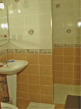 Uno de los 2 cuartos de baño con cabina de ducha.